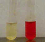 Negative MR test (left) and positive MR test (right)
