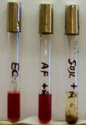Nitrate test results after addition of reagents A and B and zinc