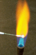 Flame-sterilizing an inoculating loop